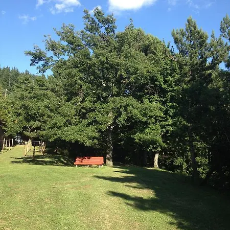 Hotel Grand Vallombrosa 3*