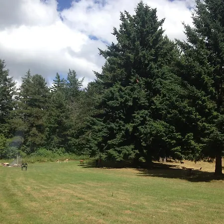 Grand Vallombrosa Hotel Saltino