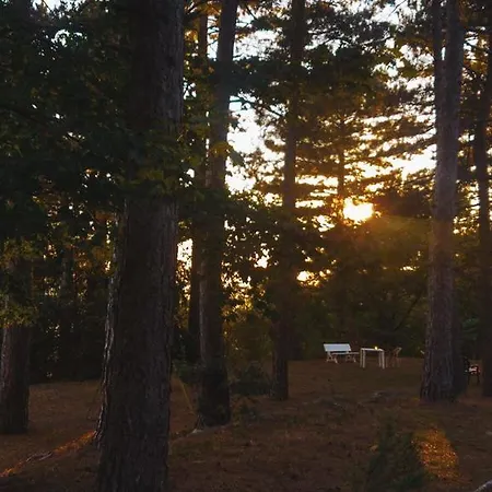 Grand Vallombrosa 3* Saltino