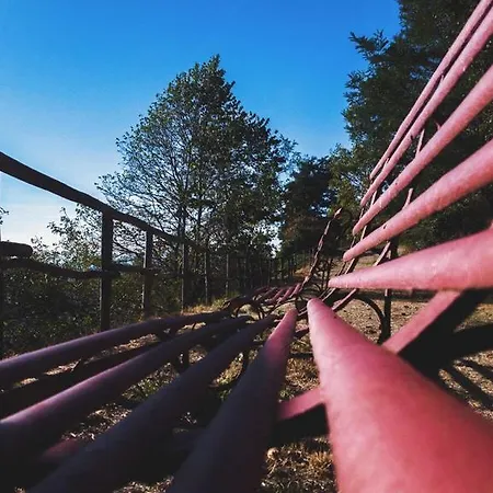 Grand Vallombrosa 3* Saltino