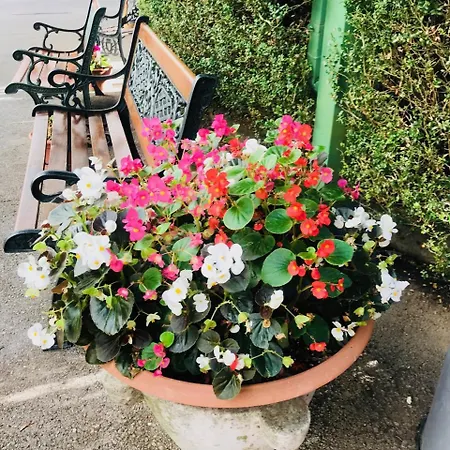 Hotel Grand Vallombrosa Saltino