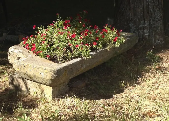 Grand Vallombrosa 3* Saltino