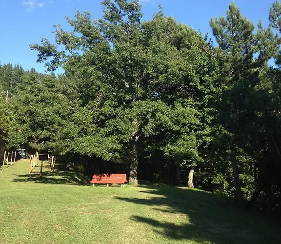 Hotel Grand Vallombrosa 3*