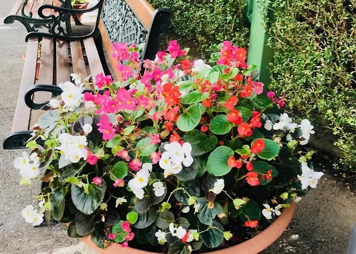 Hotel Grand Vallombrosa Saltino